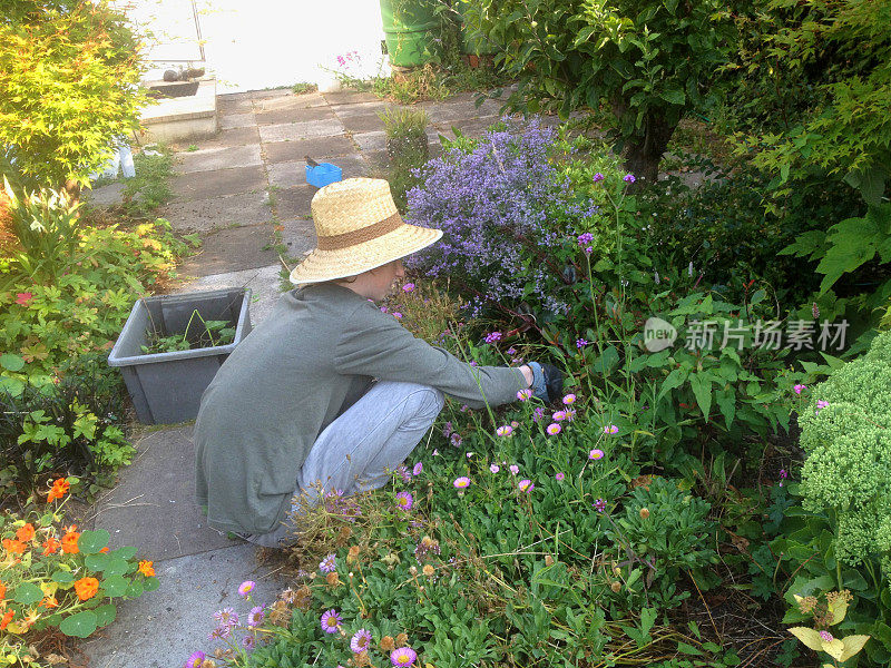小男孩园艺/除草，戴着草帽，阳光花园鲜花